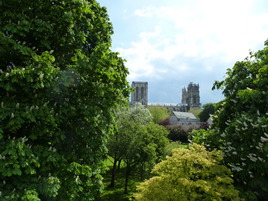 Minster from the city walls