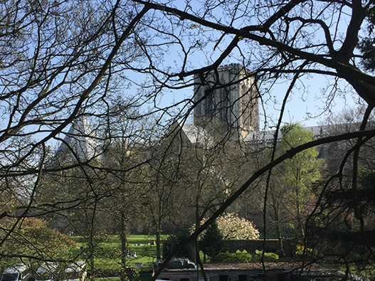 York Minster through the trees