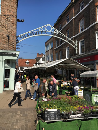 Shambles Market York